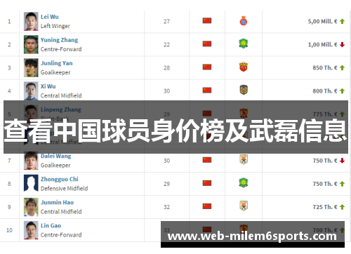 查看中国球员身价榜及武磊信息