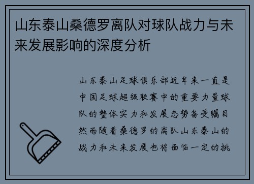 山东泰山桑德罗离队对球队战力与未来发展影响的深度分析