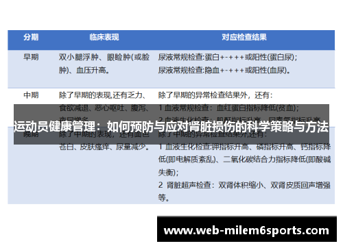 运动员健康管理：如何预防与应对肾脏损伤的科学策略与方法